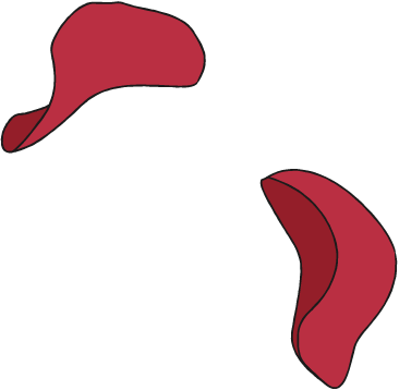 花びら イラスト