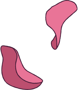 花びら イラスト