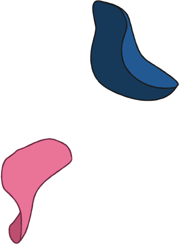 花びら イラスト